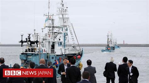 日本が商業捕鯨を再開 IWCから脱退、規制受けず.